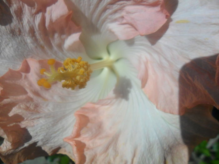 043
