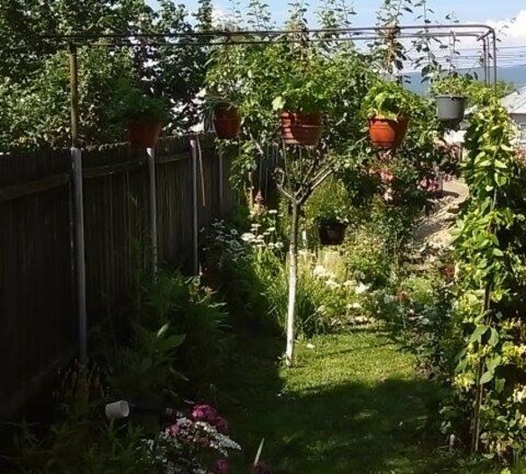 13393560_1134040419991657_8198852_n