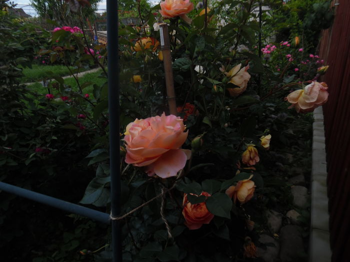 084