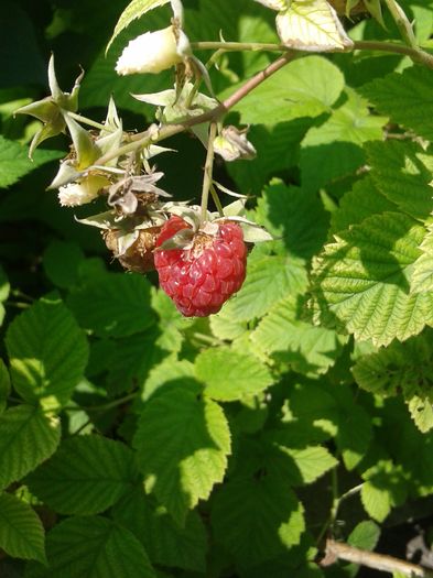20160605_143502