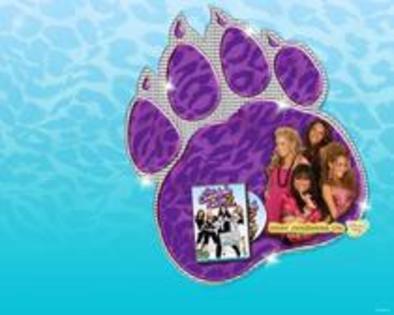 10647060_KNQFYCWMA - The Cheetah Girls-Felinele