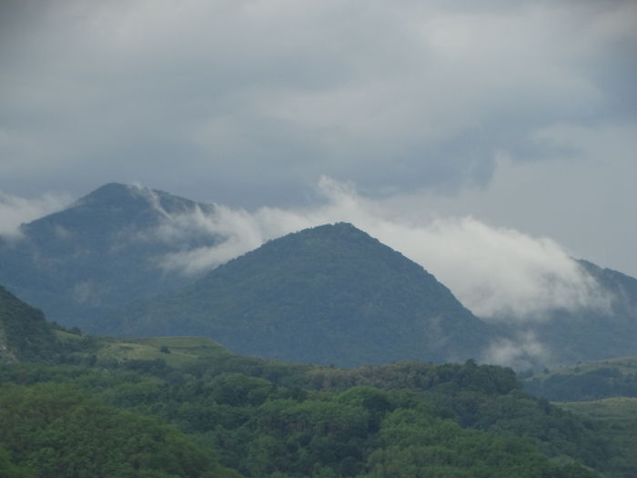 DSC07562