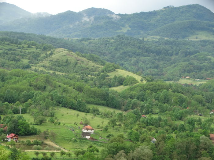 DSC07561