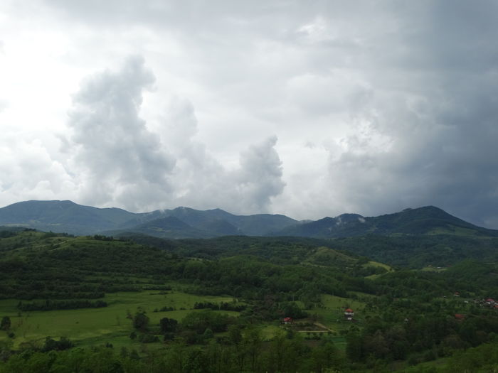 DSC07557