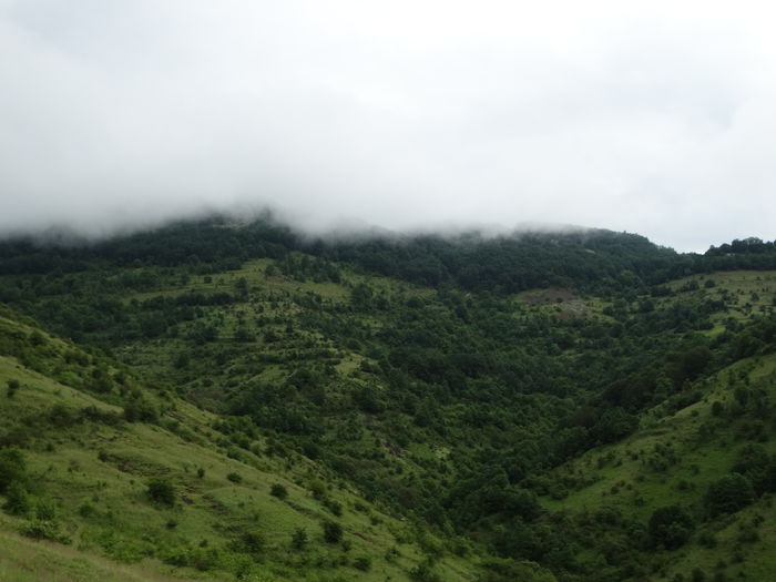 DSC07552