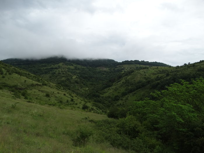 DSC07553