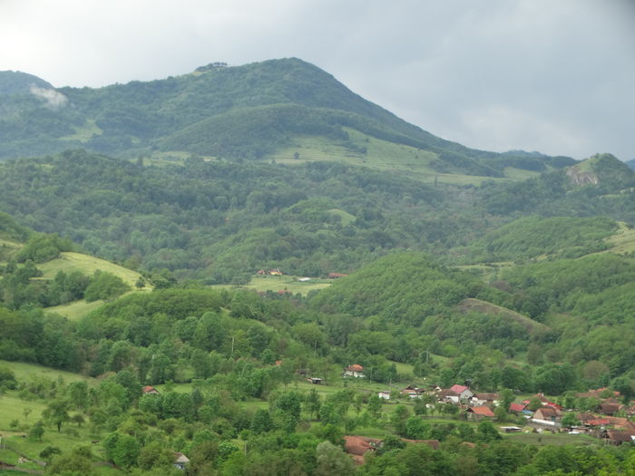 DSC07560