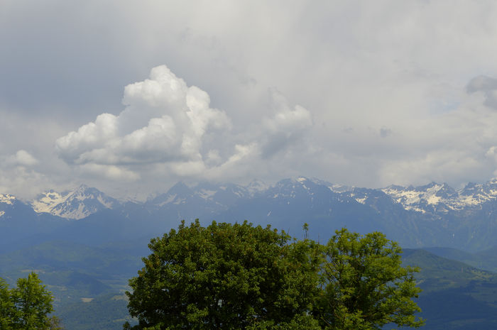 La Bastille de Grenoble et son T