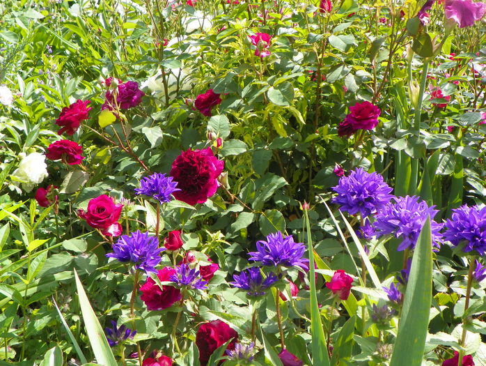 Munstead Wood