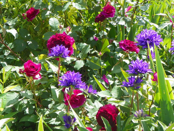 Munstead Wood