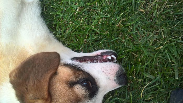 WP_20160608_12_37_03_Pro