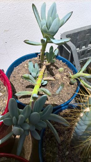 WP_20160608_13_50_08_Pro