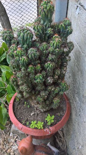 WP_20160608_13_53_05_Pro