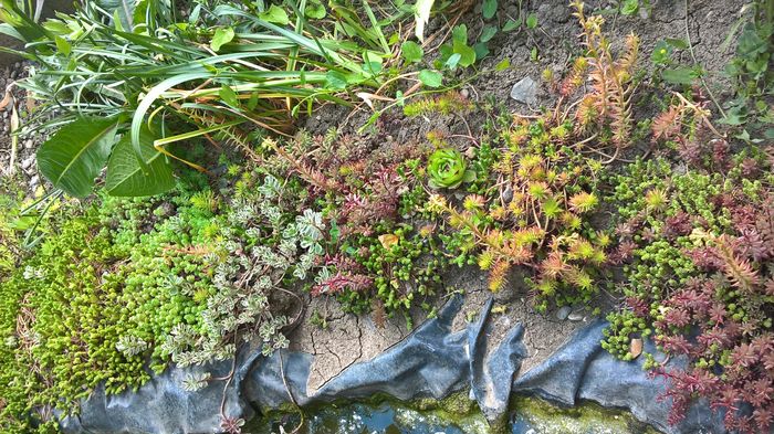 WP_20160608_13_56_53_Pro