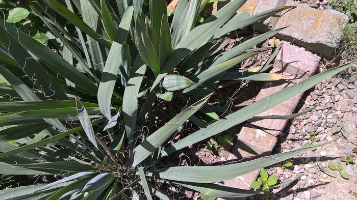 WP_20160608_14_03_04_Pro