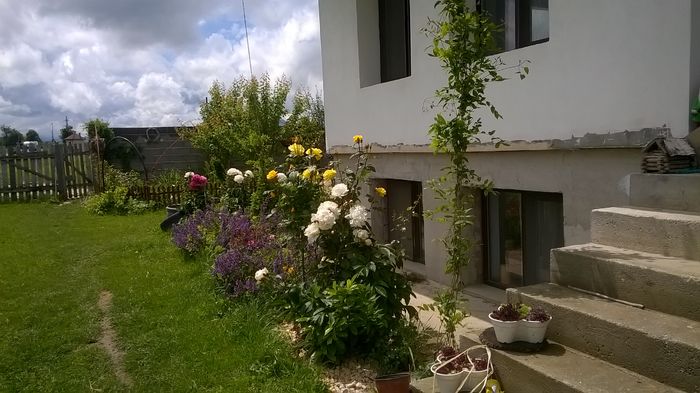 WP_20160602_13_22_10_Pro - a a gradina  2016