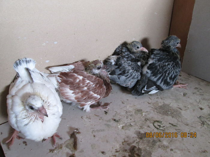 grupa mica se transforma in grupa mare...