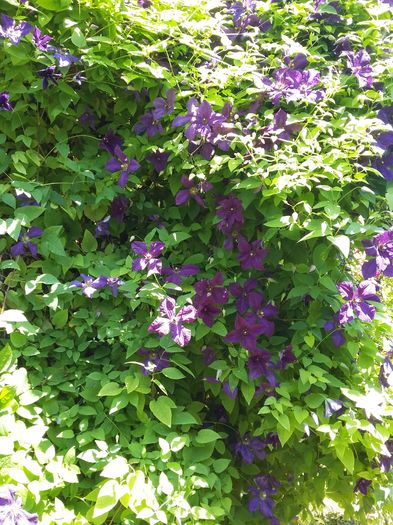 20160609_121416