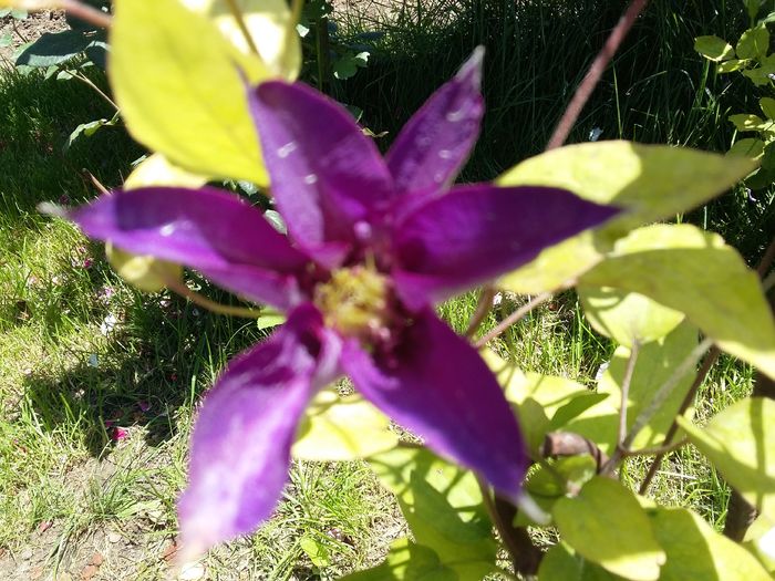20160609_122250