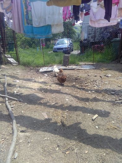 1465466504719-844772337