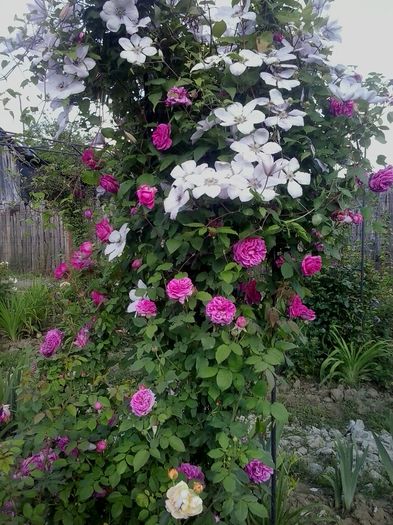 20160608_174833