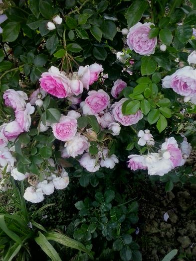 20160608_174859