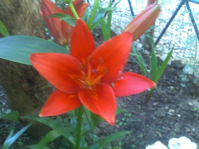 090620163137