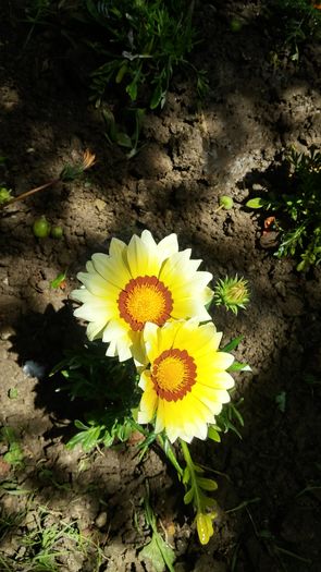 20160610_132436_HDR