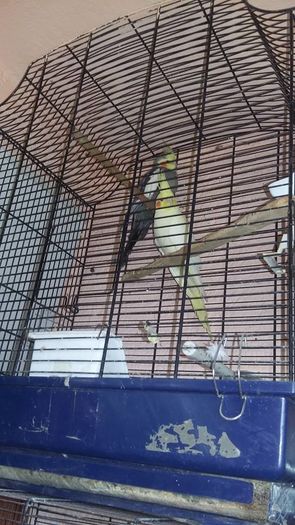 13428628_1202071116504216_1964849284241901479_n