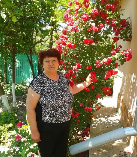 13405178_1057784554294320_1569772756_o