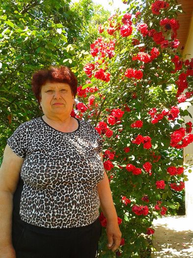 13441508_1057787347627374_476027656_o