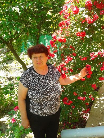 13441566_1057787354294040_1254316027_o