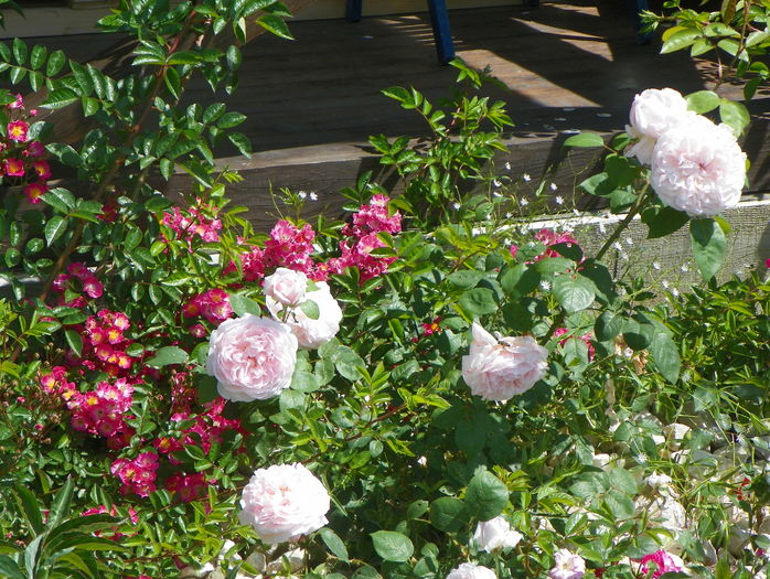 Kathryn Morley si Maria Lisa