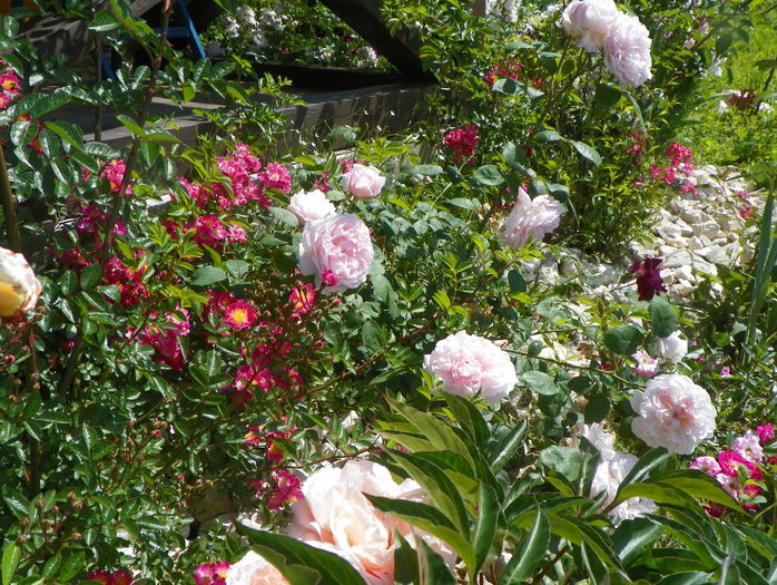 Kathryn Morley si Maria Lisa