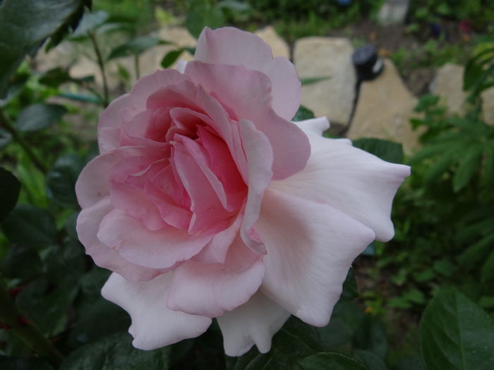 Alexandra Princess of Luxemburg