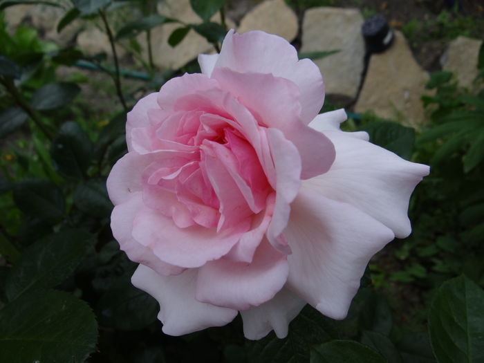 Alexandra Princess of Luxemburg