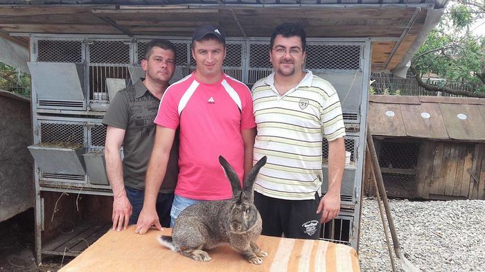 cu Ionut Banescu si Adrian Dumitru