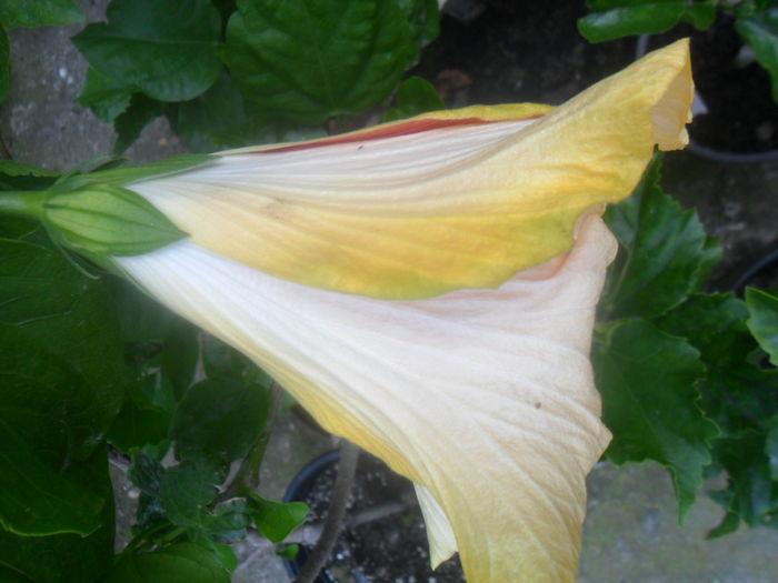 018