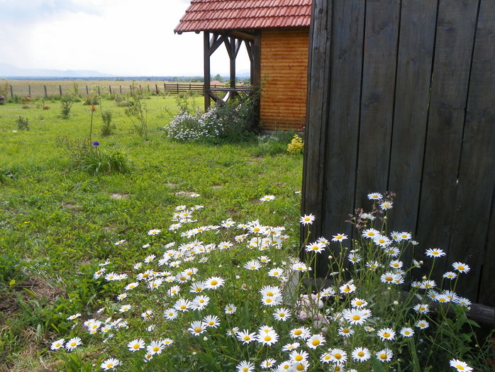 margarete - Dobarland 2016 2