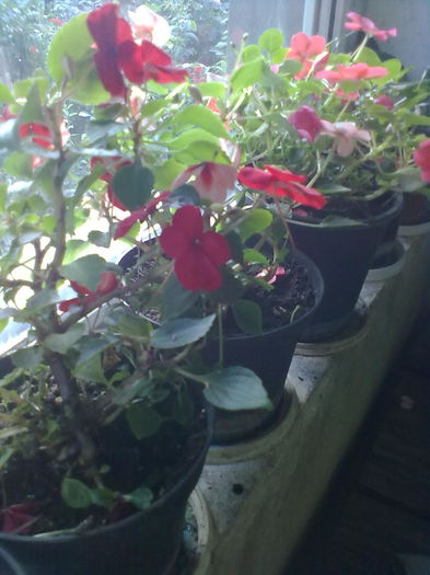 ABCD0017 - diverse 2016