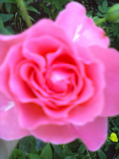 ABCD0006 - diverse 2016