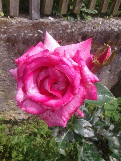 20160607_162023