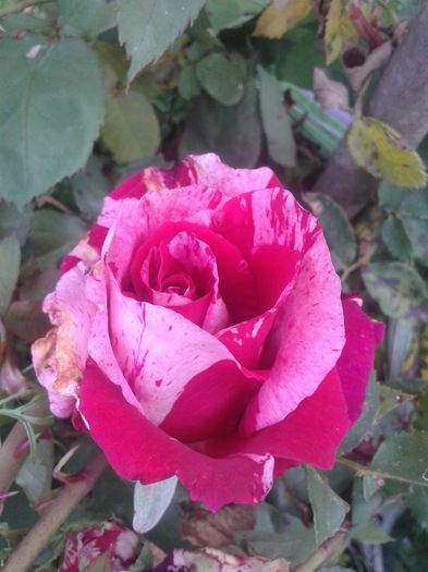 20160610_183122