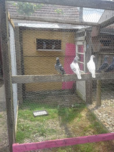 O privire din ansamblu!!!