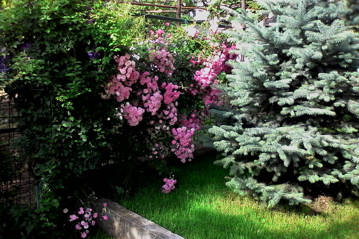 IMG_20160612_092346 - 5Vara 2016