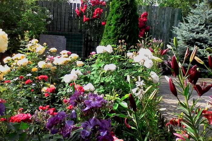 IMG_20160612_092252 - 5Vara 2016