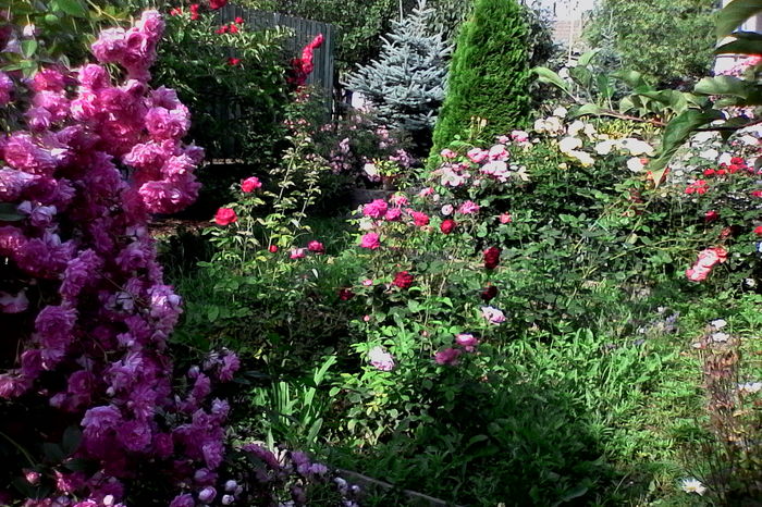 IMG_20160612_092129 - 5Vara 2016