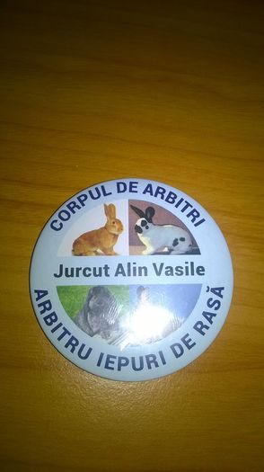 Ecusonul de arbitru - ARBITRU DE IEPURI