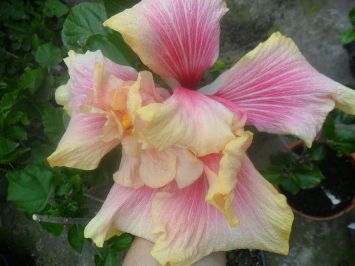 018
