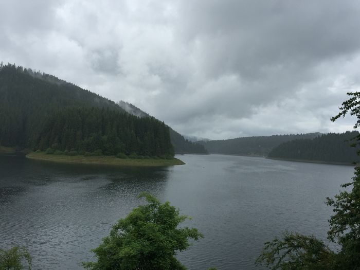 image - Natura-marisel-belis